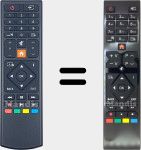 Original remote control RC39105 (30100821)