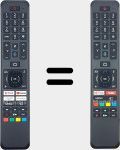Original remote control CT8556 (RC43160N)