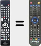 Replacement remote control for RC004UD (307010064009M)