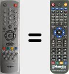 Replacement remote control for CT-841 (V20100980)