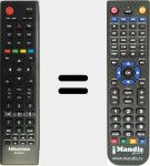 Replacement remote control for ER-22601A (T163920)
