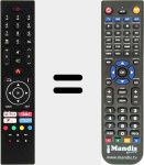 Replacement remote control for RC43137P (30101759)
