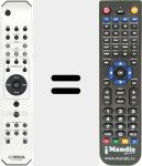 Replacement remote control for RAX21 (WQ066500)
