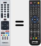 Replacement remote control for RC43136P (23656429)