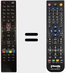 Replacement remote control for RC4876
