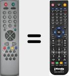 Replacement remote control for RC 2040 (30034719)