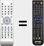 Replacement remote control for D01 (0118020029)