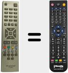 Replacement remote control for CT2838 (20403847)