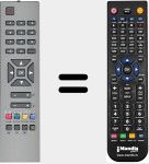 Replacement remote control for RC1241 (20128046)