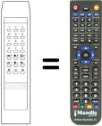 Replacement remote control 31009293