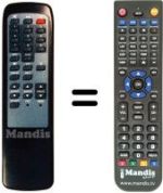 Replacement remote control 300 TS 002
