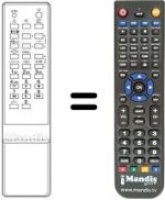 Replacement remote control CT-9399