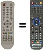Replacement remote control Telesystem 23' YOUNG