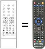 Replacement remote control RC 1000
