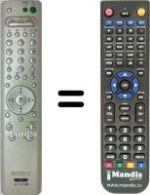 Replacement remote control RM-Y1002