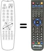 Replacement remote control Protech CTV7294