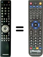Replacement remote control Grundig FINEARTS LED