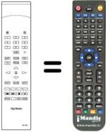 Replacement remote control RC501