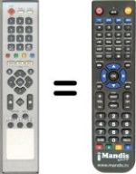 Replacement remote control Ferguson HF8800 HD
