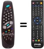 Replacement remote control RC1010