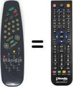 Replacement remote control RC1040