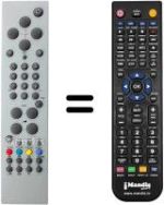 Replacement remote control Techwood TWD20LC1