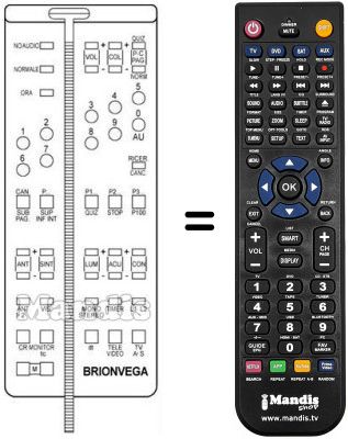 Replacement remote control 660.01.0194