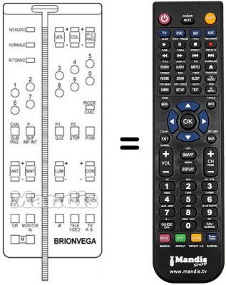 Replacement remote control 660.01.0198