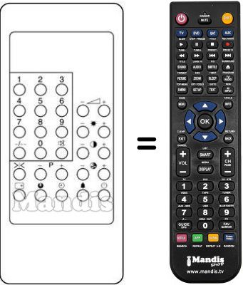 Replacement remote control RC 300