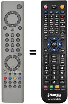 Replacement remote control Seg PL 42 SG