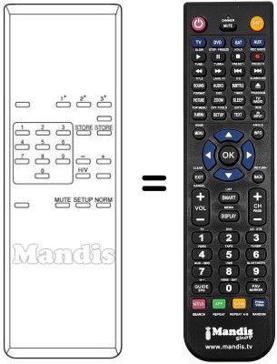 Replacement remote control SP 699001