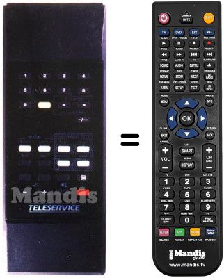Replacement remote control TELESERVICE