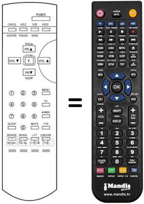 Replacement remote control Goodmans 205N