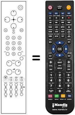 Replacement remote control RC1543-1541