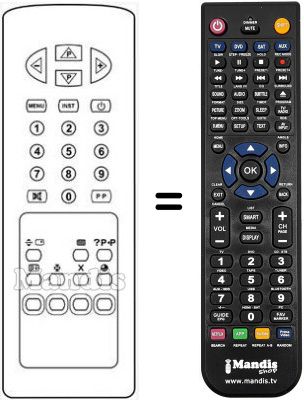 Replacement remote control RC2134
