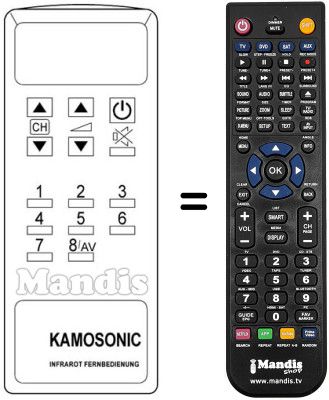 Replacement remote control RC51