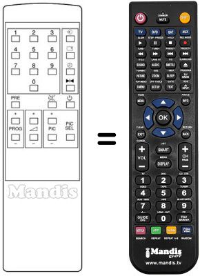 Replacement remote control Watson FA2425