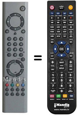 Replacement remote control Techwood PL42SI
