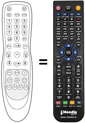 Replacement remote control TELEWIRE 3102F