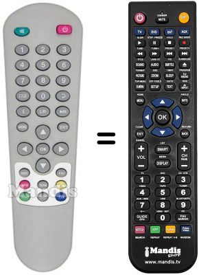 Replacement remote control Zodiac DZR1000FTA