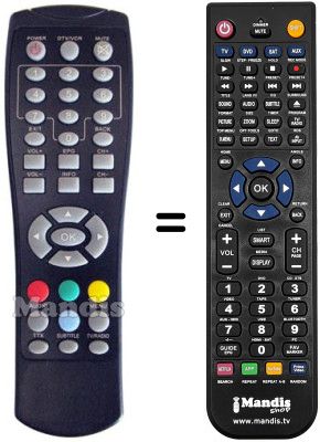 Replacement remote control Telesystem TS6213