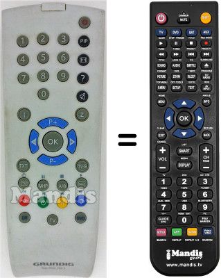 Replacement remote control Grundig WHV3149W